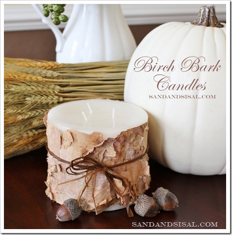 Birch bark candle