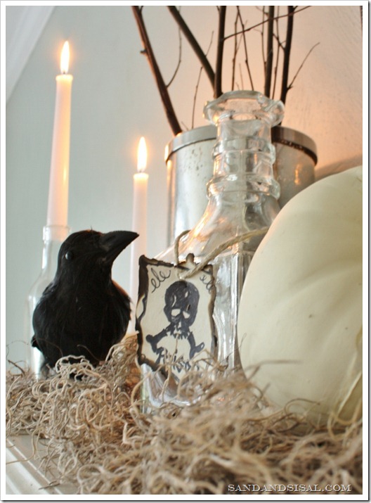 Halloween Mantel - Poison bottle