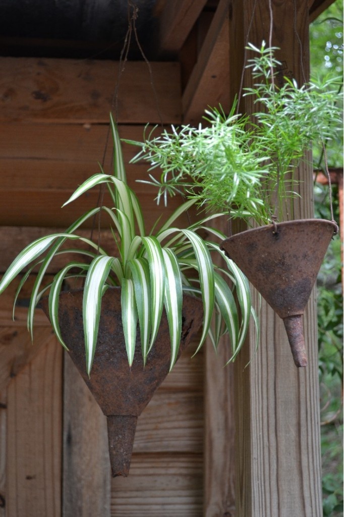 Creative containers- Funnel planter