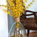 Forsythia arrangement