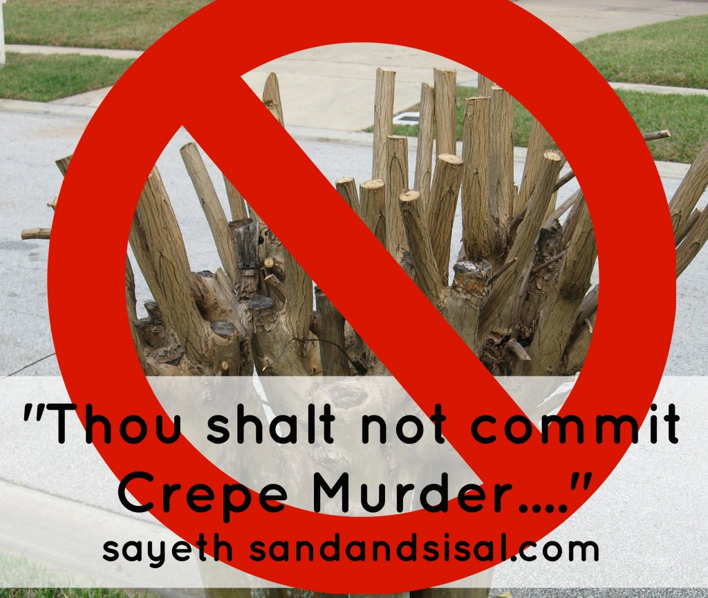 Thou Shalt Not Commit Crepe Murder