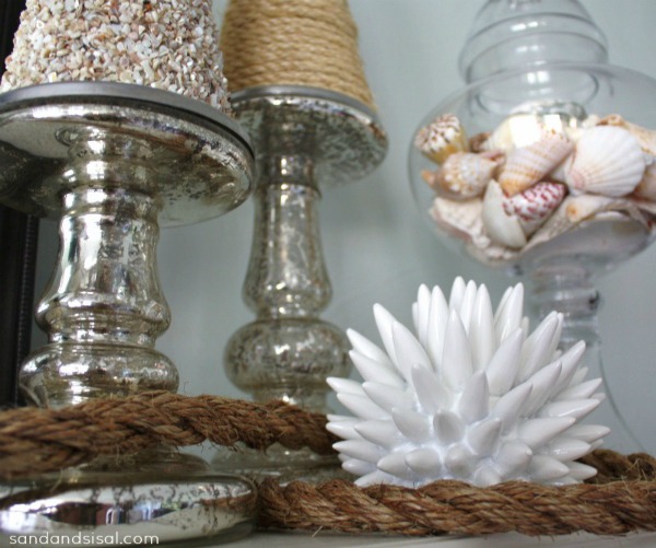 Sea Urchin - coastal mantel