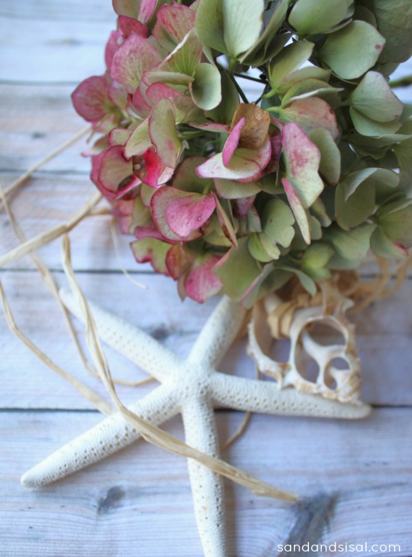 Dried hydrangeas and starfish