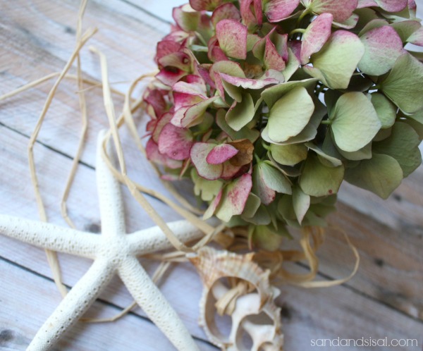 How to Dry Hydrangeas …… - Cottage in the Oaks