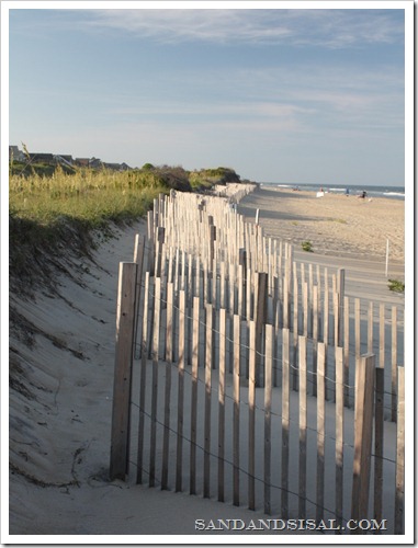 beach fence 
