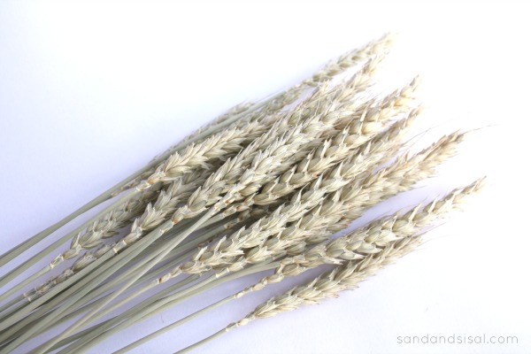 wheat bundle