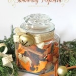 Christmas Spice Simmering Potpourri