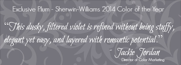 Exclusive Plum 2014 Color of the Year