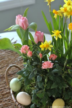 Spring Tabletop Garden - Page 7 of 8 - Sand and Sisal