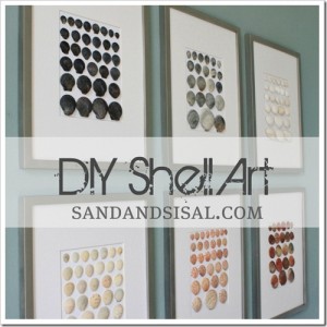 DIY Shell Art