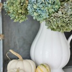 Hydrangeas & White Pumpkins