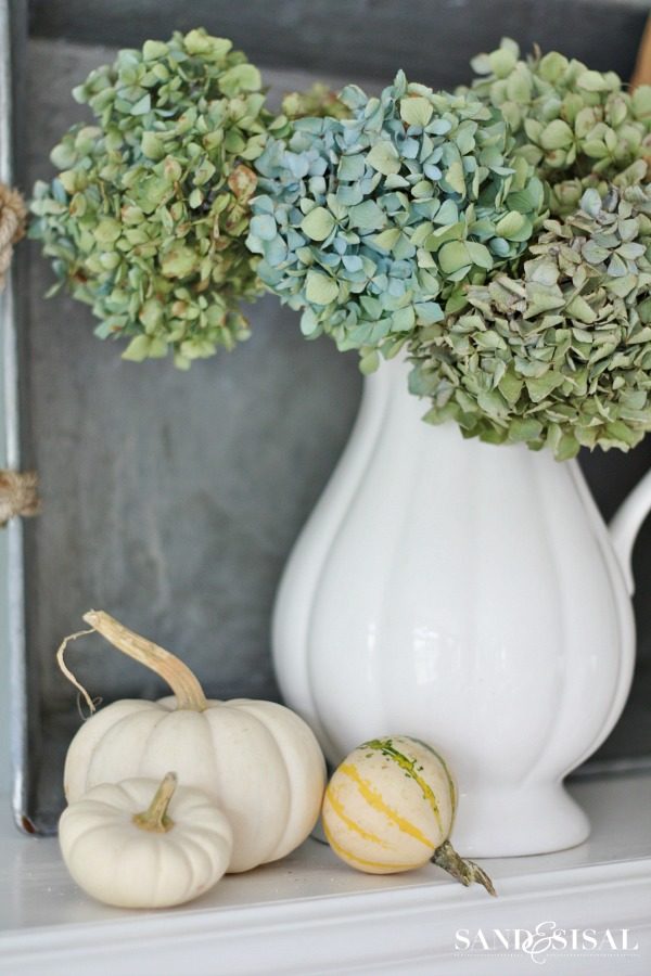 Hydrangeas & White Pumpkins