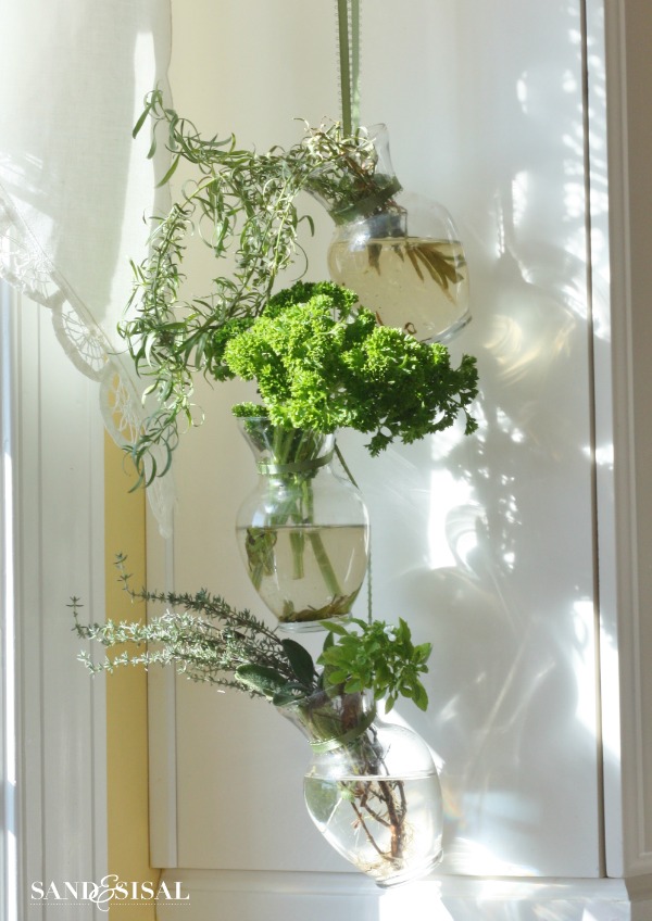 Hanging Herbs in the Kitchen
