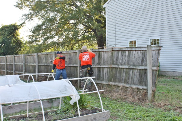 Taking down the fence