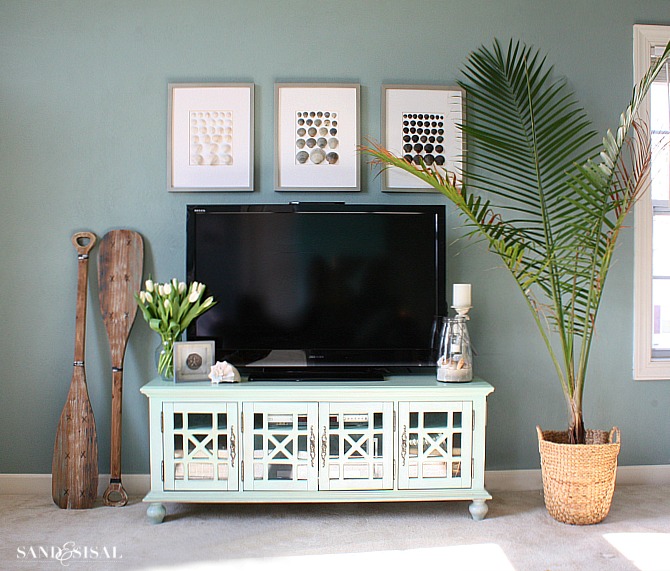 Entertainment Center Organization