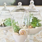 Growing Succulents - Chic Coastal Style