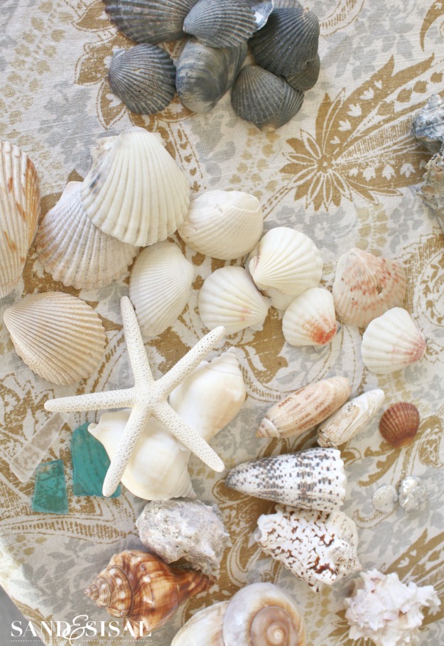 Shells