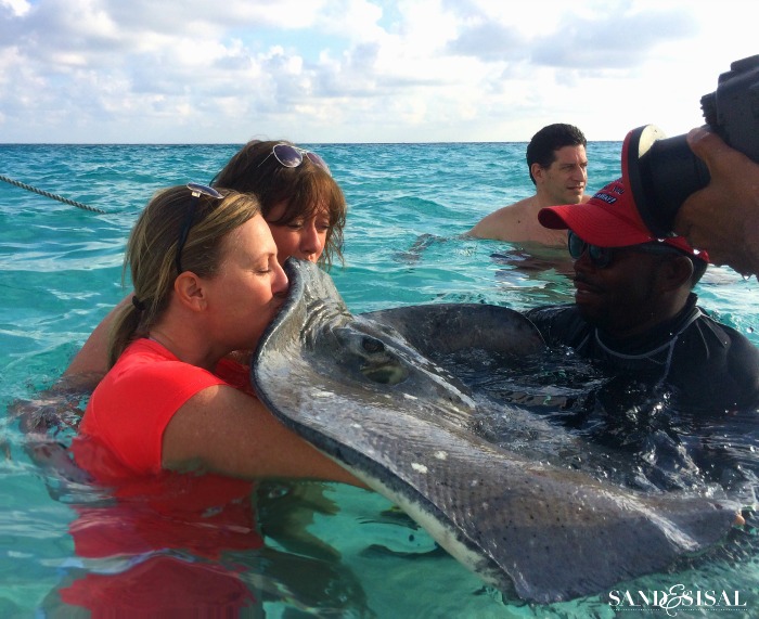 Sting Ray City Excursion Grand Caymen