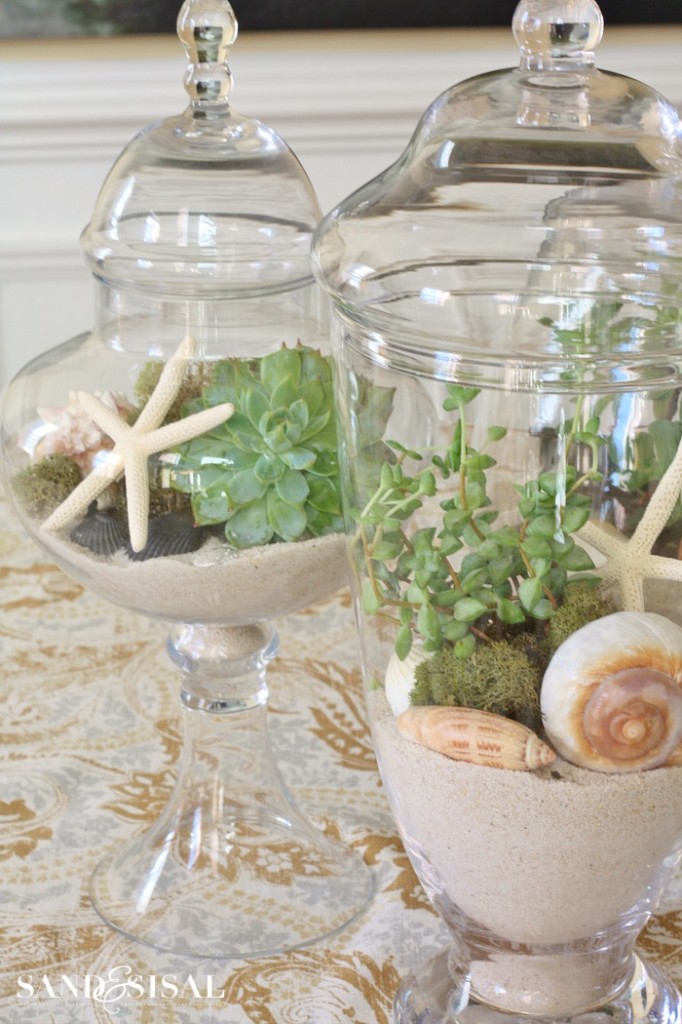 Succulents in Apothecary Jars