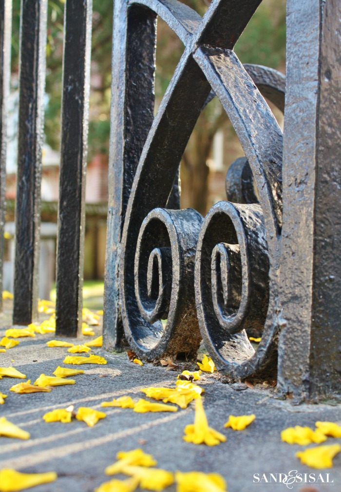 Iron Fences - Charleston