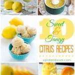 10+ Sweet & Tangy Citrus Recipes