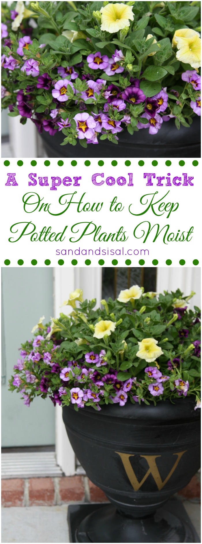 A Super Cool Trick on How to Keep Potted Plants Moist Longer