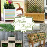 DIY Planter Projects