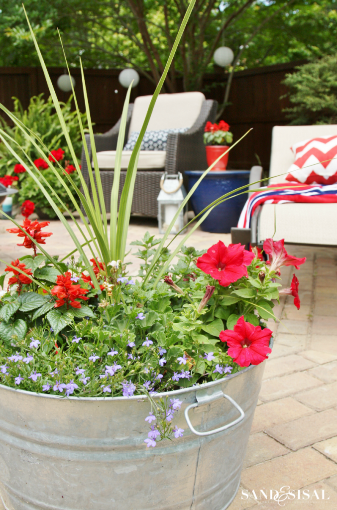 Red, White, and Blue Galvanized Pail Planter