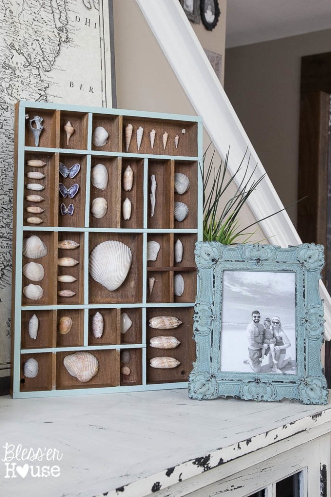 Seashell-Printer-Tray-Shadow-Box