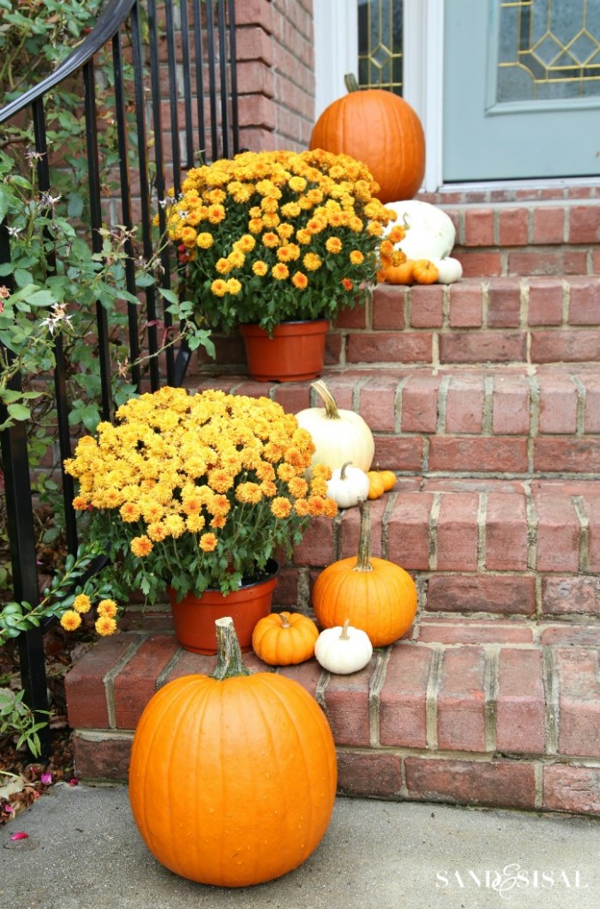 Orange mums with white and orange pumpkins