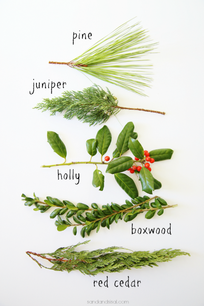 Holiday Everygreens - These evergreens are perfect for Christmas Wreaths, swags, garland and more!