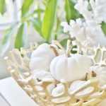 Coastal White Pumpkin Fall Decor