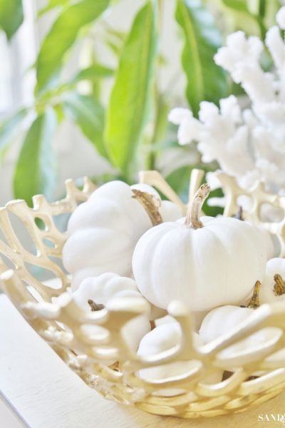 Coastal White Pumpkin Fall Decor