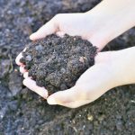 fall-soil-preparation-for-spring-gardens