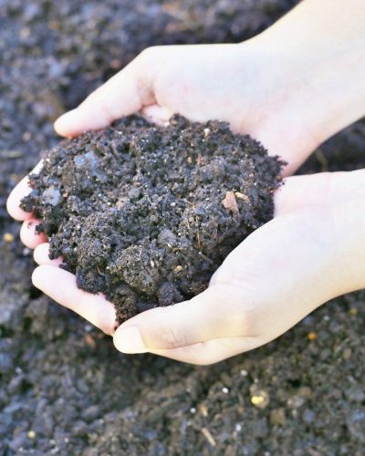 fall-soil-preparation-for-spring-gardens