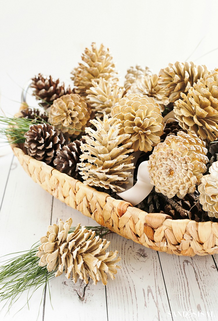 how-to-bleach-pinecones