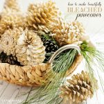 how-to-make-beautifully-bleached-pinecones