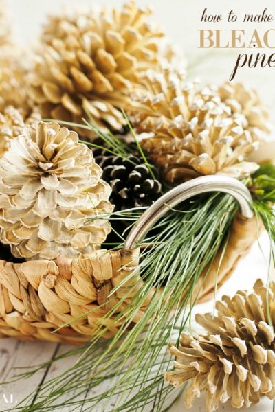 how-to-make-beautifully-bleached-pinecones