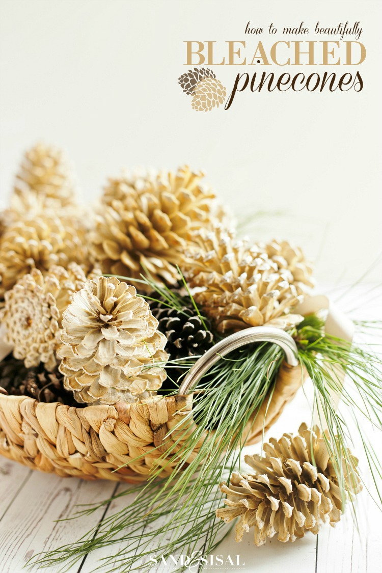 DIY Painted Pine Cones - Two Sisters