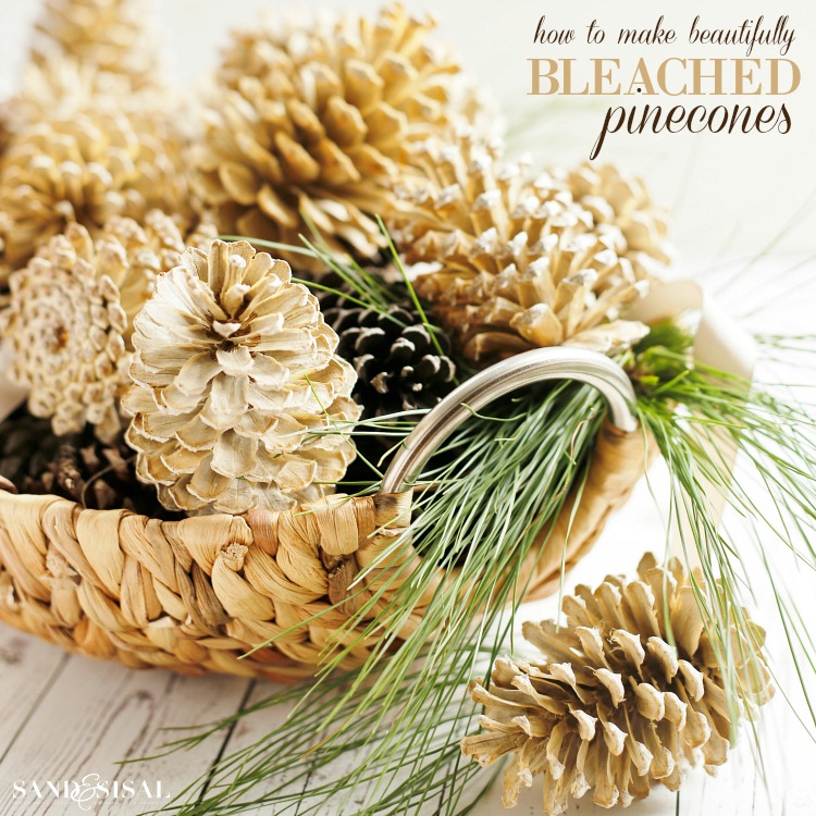 How to Make Beautifully Bleached Pinecones - Sand and Sisal