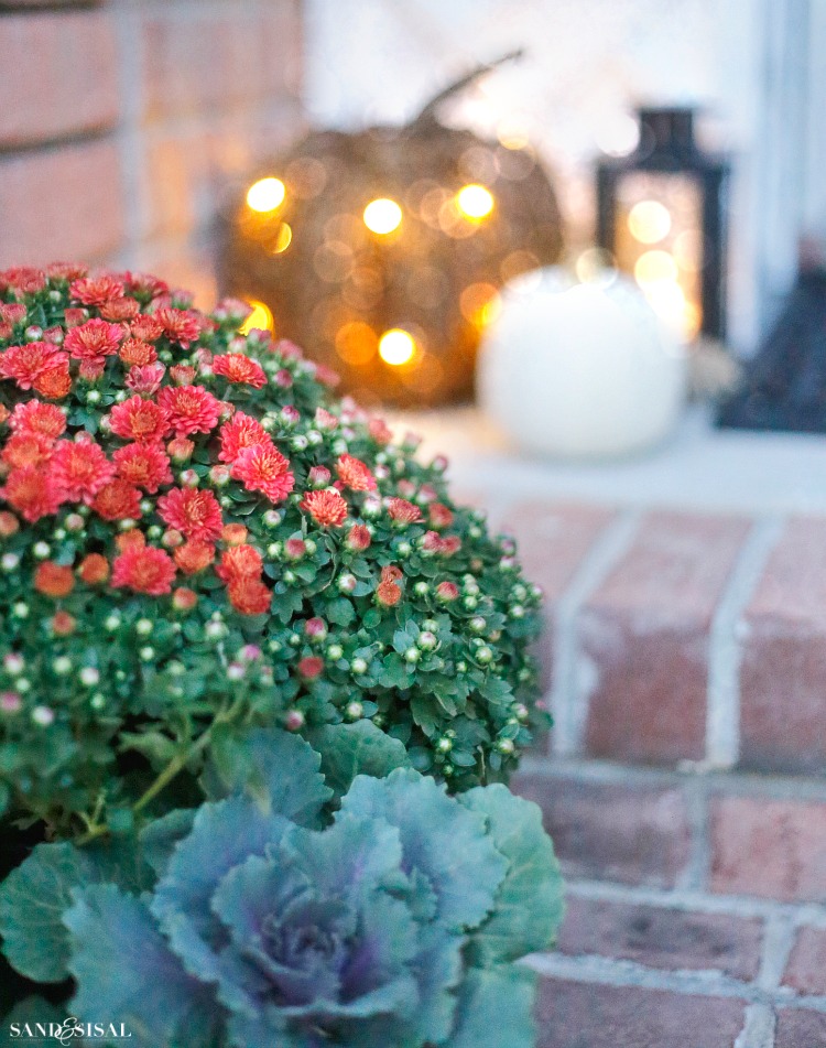 mums-and-pumpkins