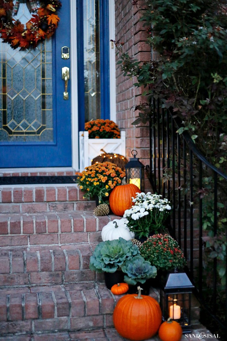 mums-and-pumpkins