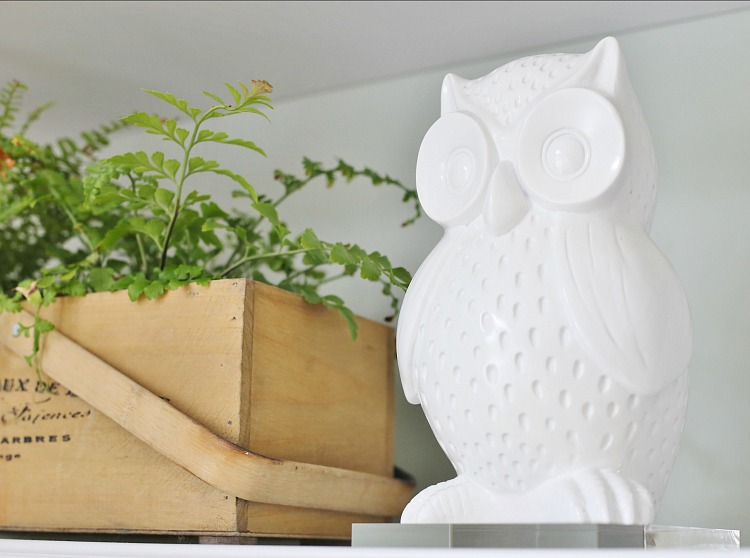 White Owl - Fall Decor