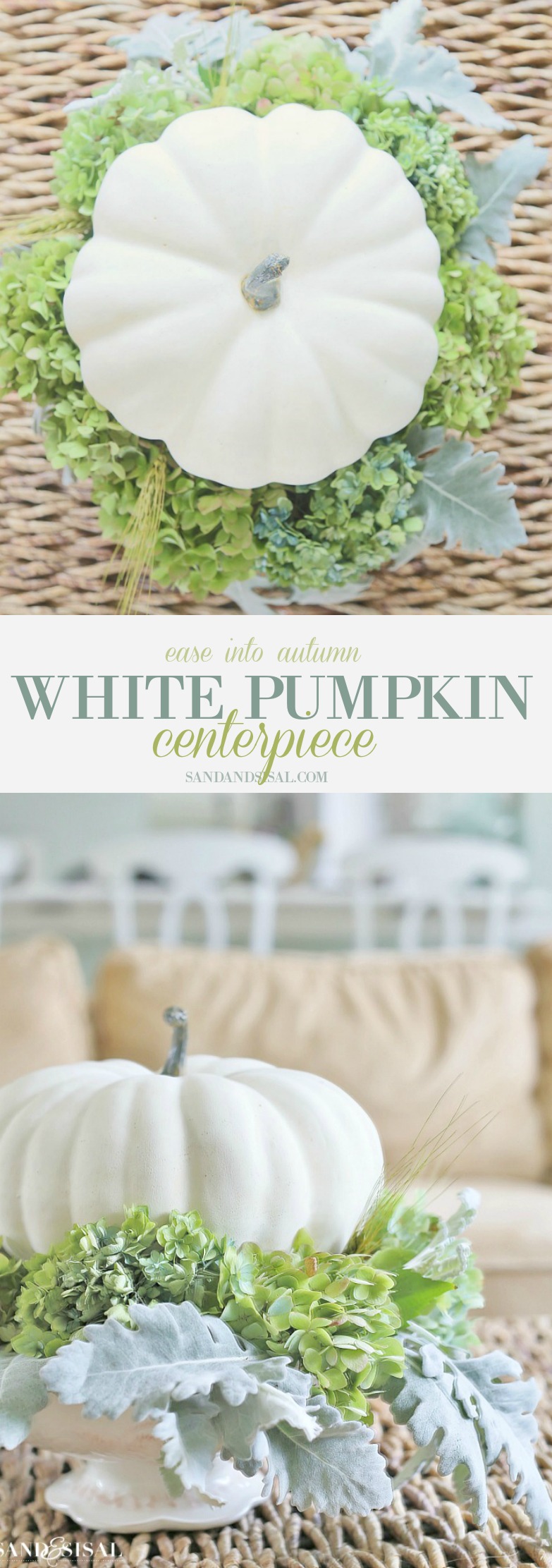 Ease into Autumn with a beautiful and easy to make White Pumpkin Fall Centerpiece