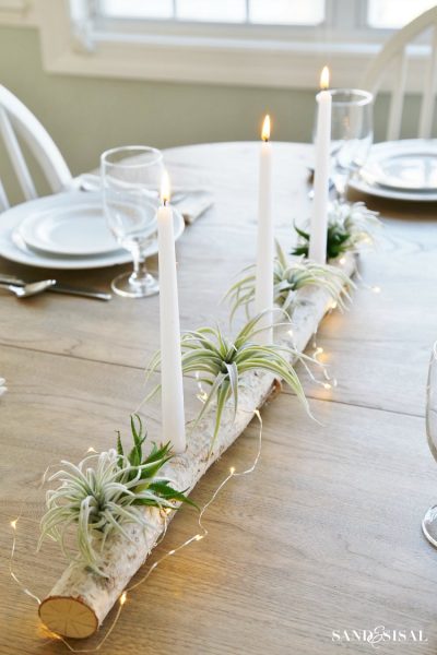 birch-log-centerpiece-with-air-plants