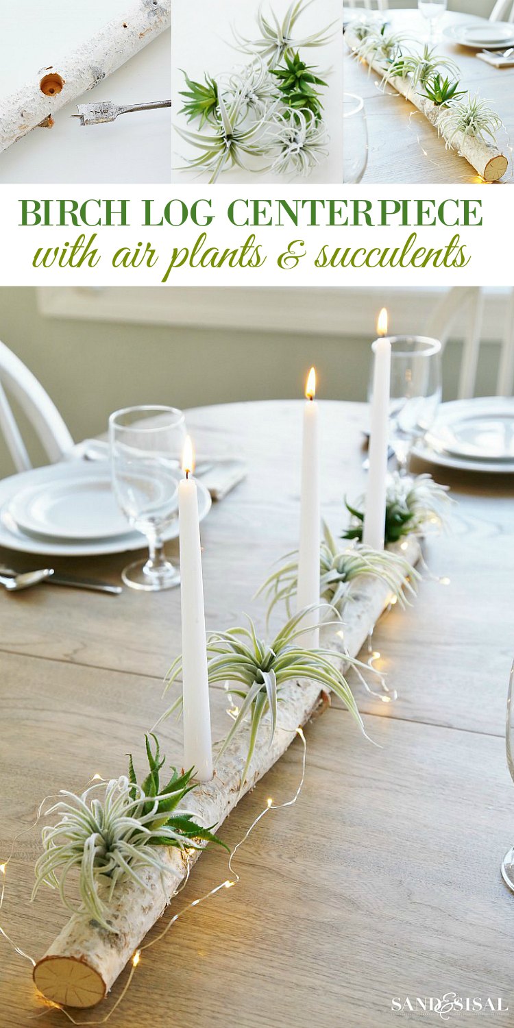 Birch Log Centerpiece with Air Plants and Succulents 