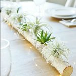 Birch Log Centerpiece with Air Plants and Succulents