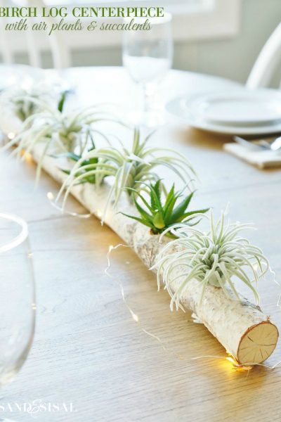 Birch Log Centerpiece with Air Plants and Succulents