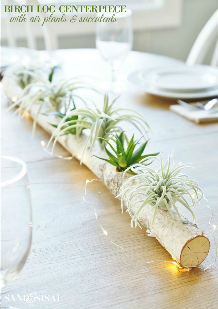 Birch Log Centerpiece with Air Plants and Succulents