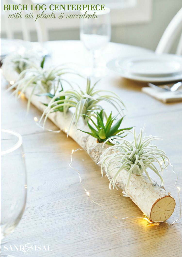 Birch Log Centerpiece with Air Plants and Succulents - Sand and Sisal